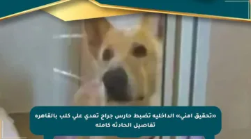 «تحقيق أمني» الداخلية تضبط حارس جراج تعدى على كلب بالقاهرة تفاصيل الحادثة كاملة